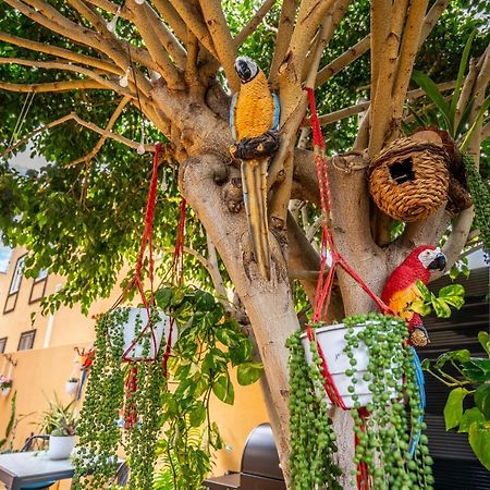 Ke Casetta Tenerife Salvador And Santiago Apartments Las Rosas  外观 照片