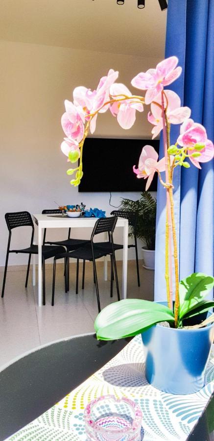 Ke Casetta Tenerife Salvador And Santiago Apartments Las Rosas  外观 照片